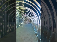 IP68 수중 네온 플렉스 24V TPU 재료 플렉서블 LED 스트립 수영장 사용